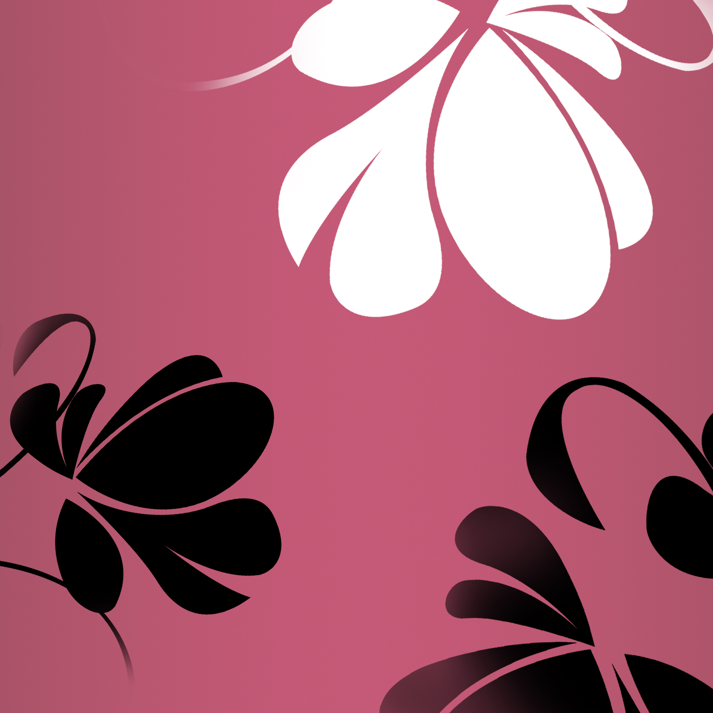 VIPcorel.com_11642c.JPG