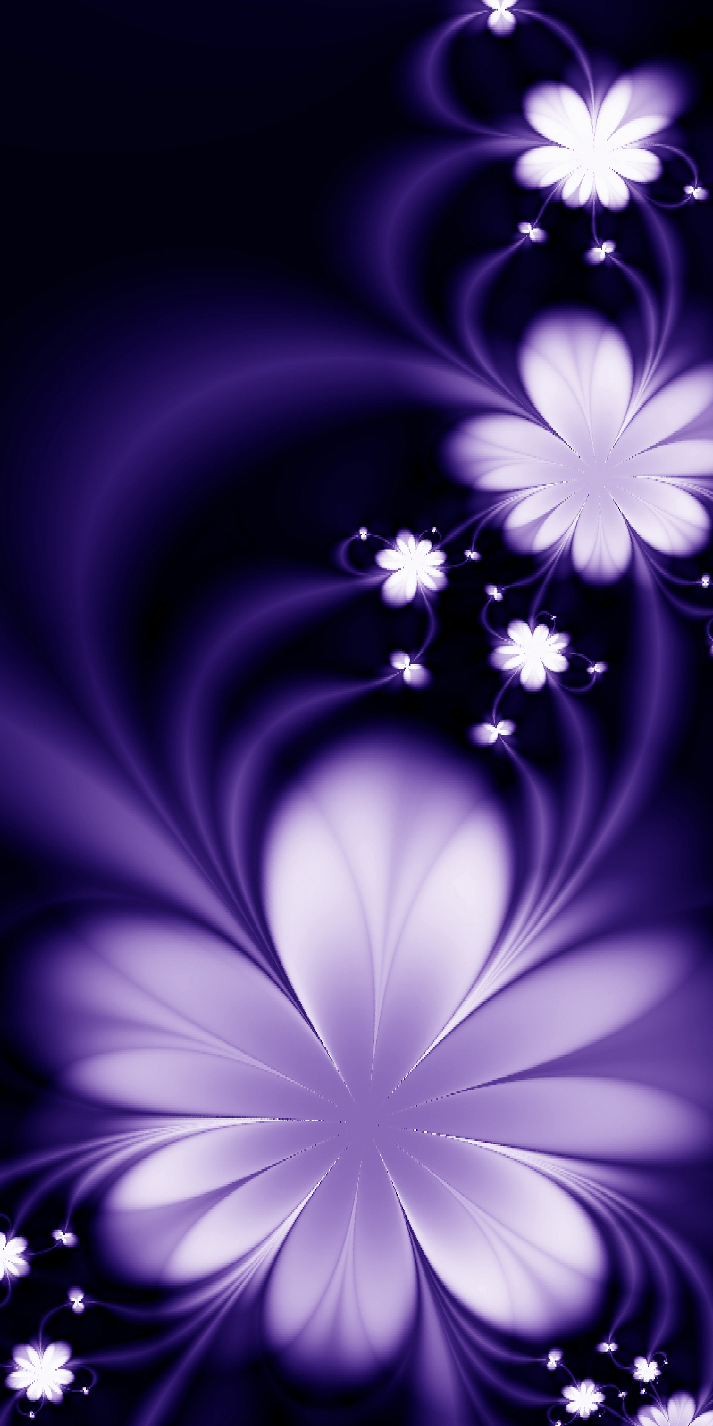 VIPcorel.com_11643a.jpg