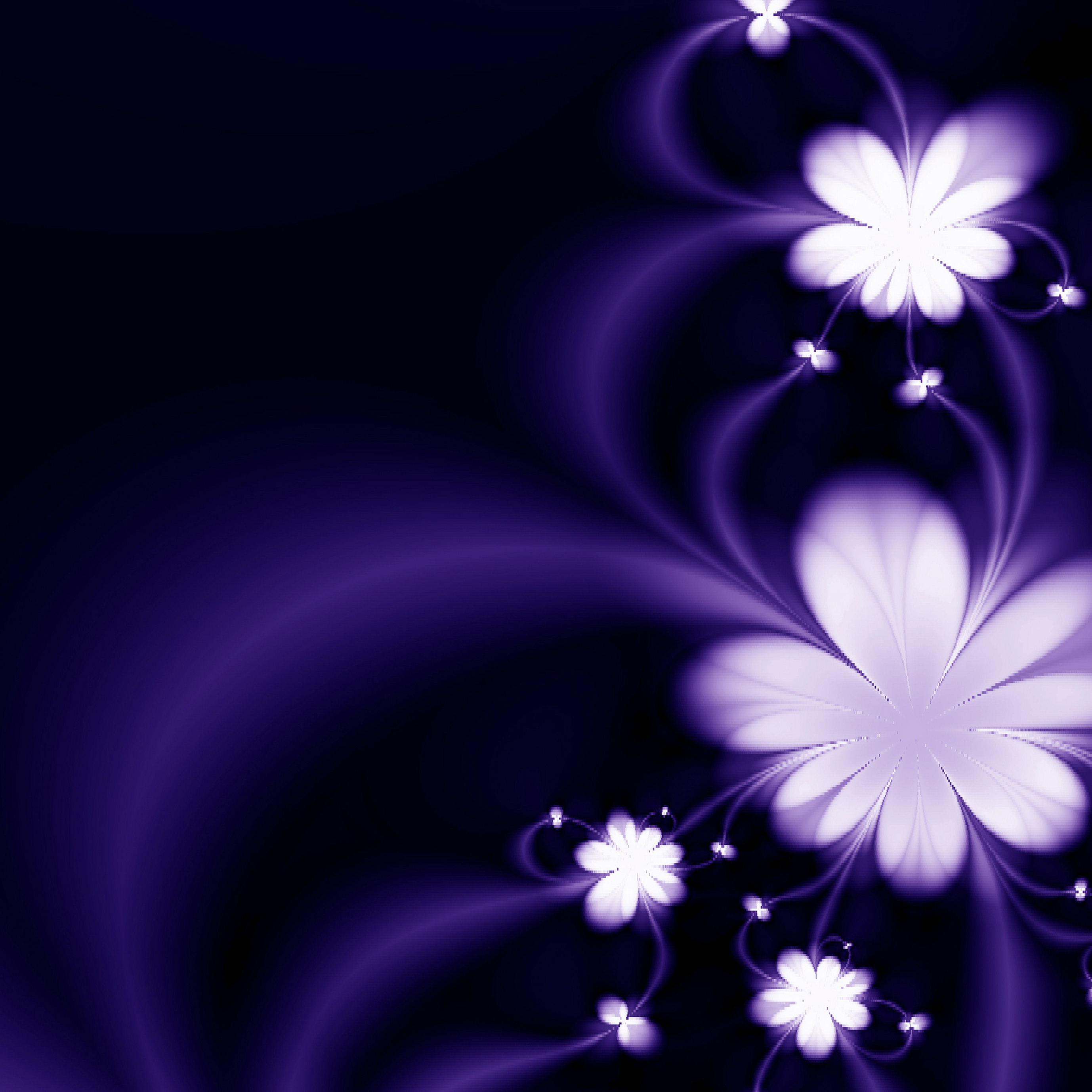 VIPcorel.com_11643b.JPG