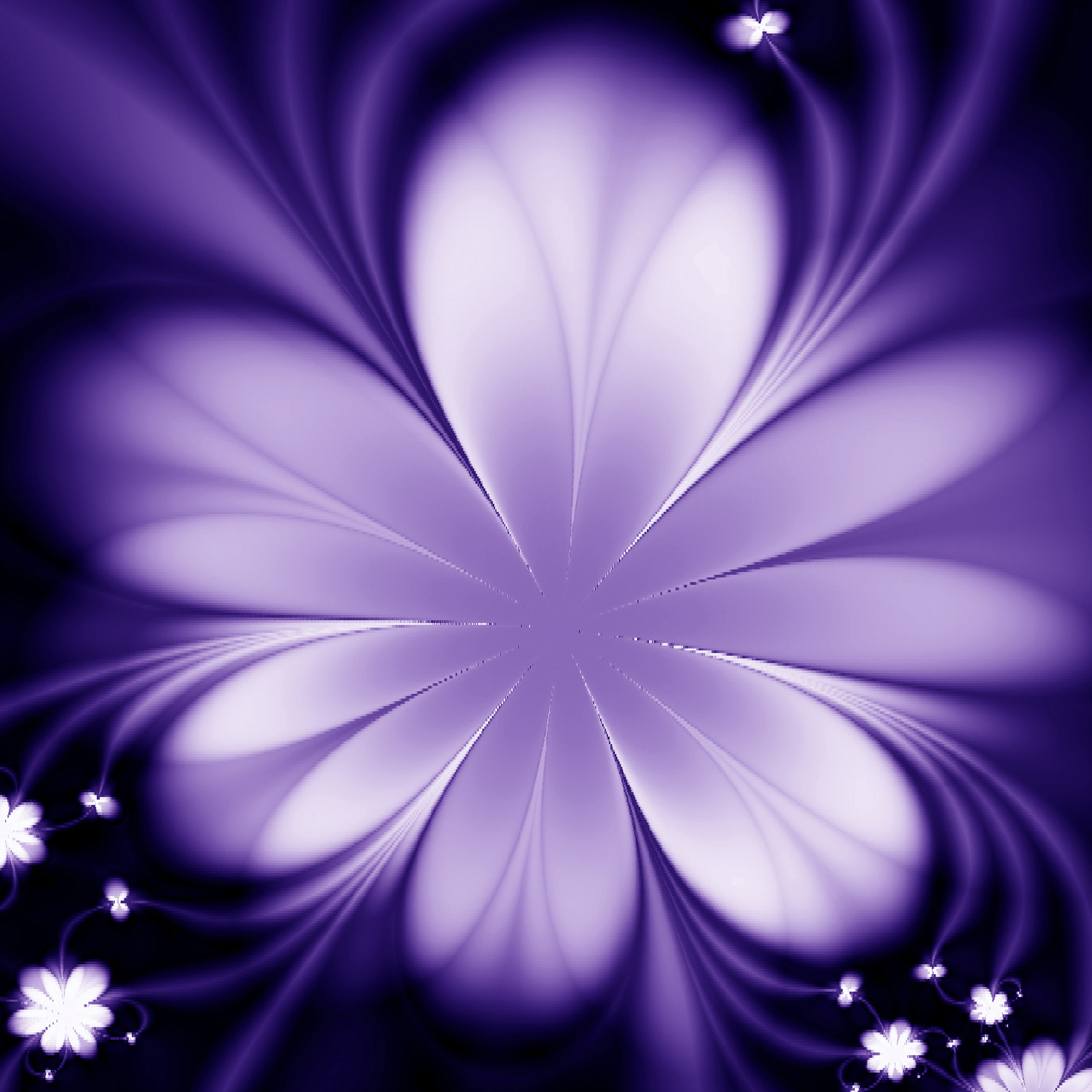 VIPcorel.com_11643c.JPG