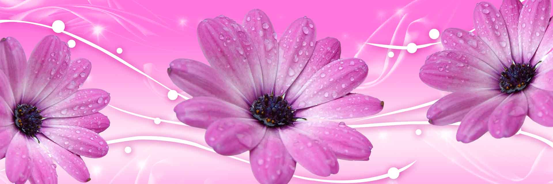 VIPcorel.com_11648a.jpg