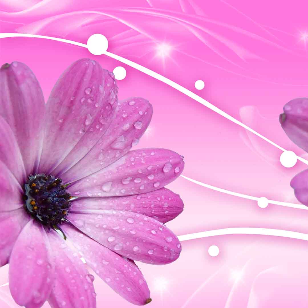 VIPcorel.com_11648b.jpg