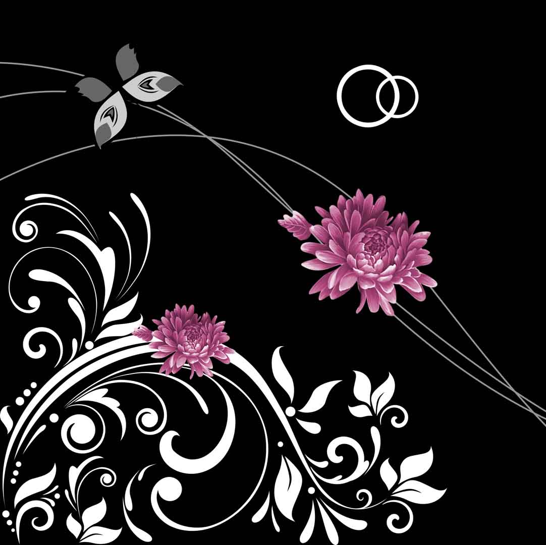 VIPcorel.com_11650b.jpg