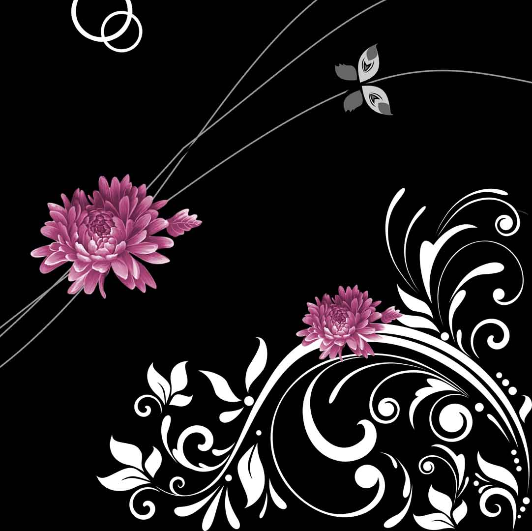 VIPcorel.com_11650d.jpg