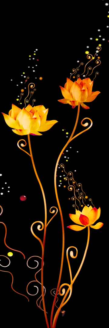 VIPcorel.com_11651a.jpg