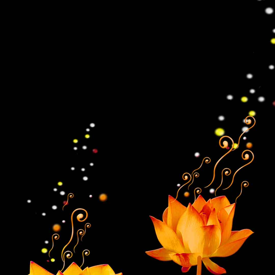 VIPcorel.com_11651b.jpg