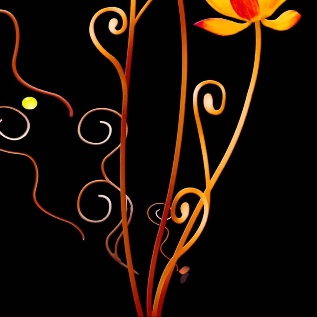 VIPcorel.com_11651d.jpg