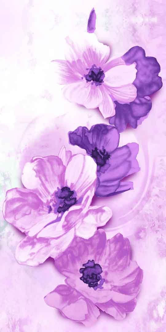 VIPcorel.com_11654a.jpg