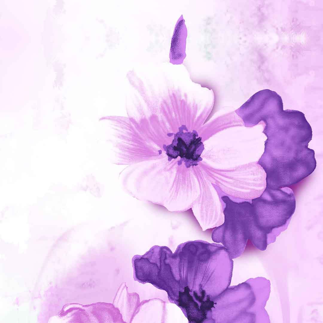 VIPcorel.com_11654b.jpg