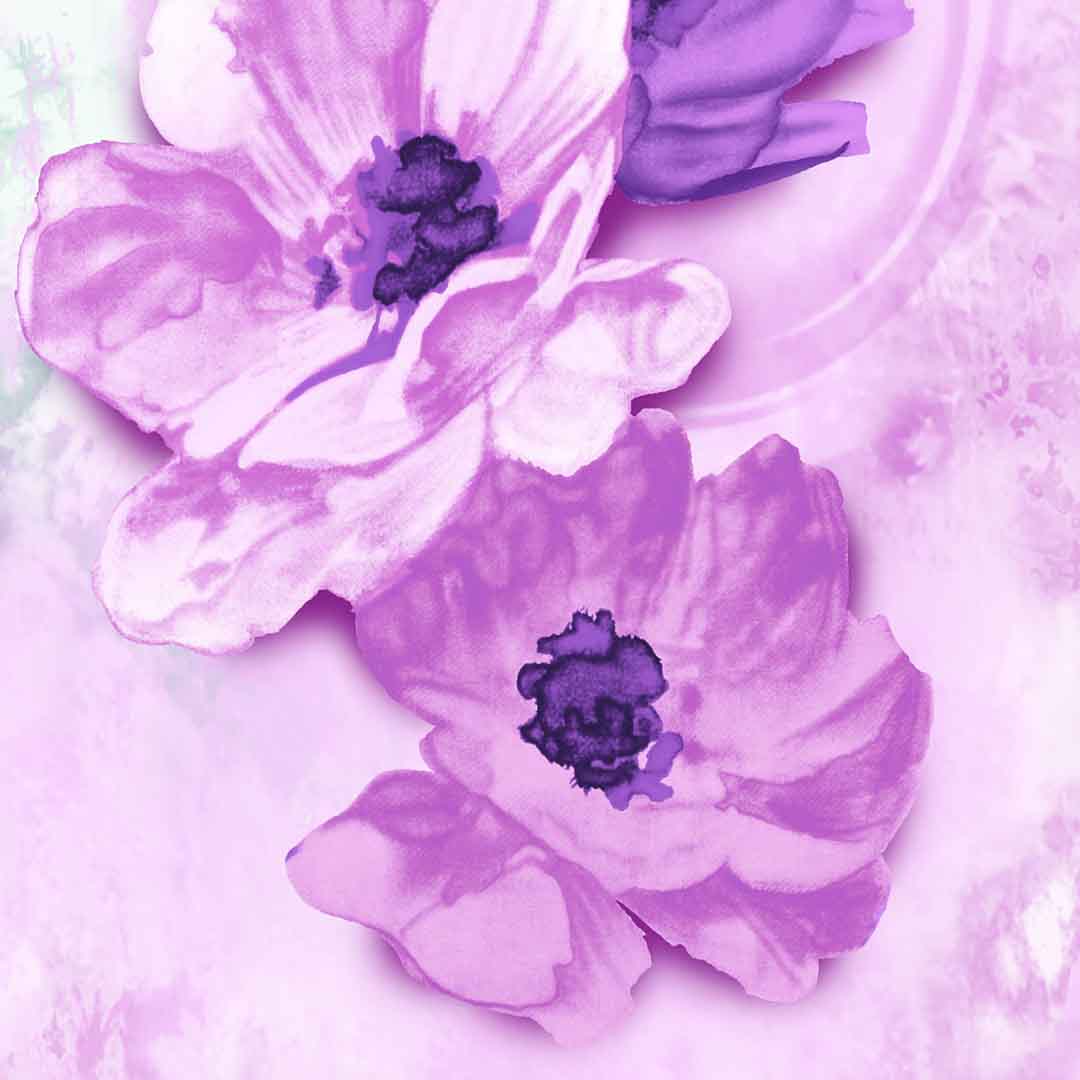 VIPcorel.com_11654c.jpg
