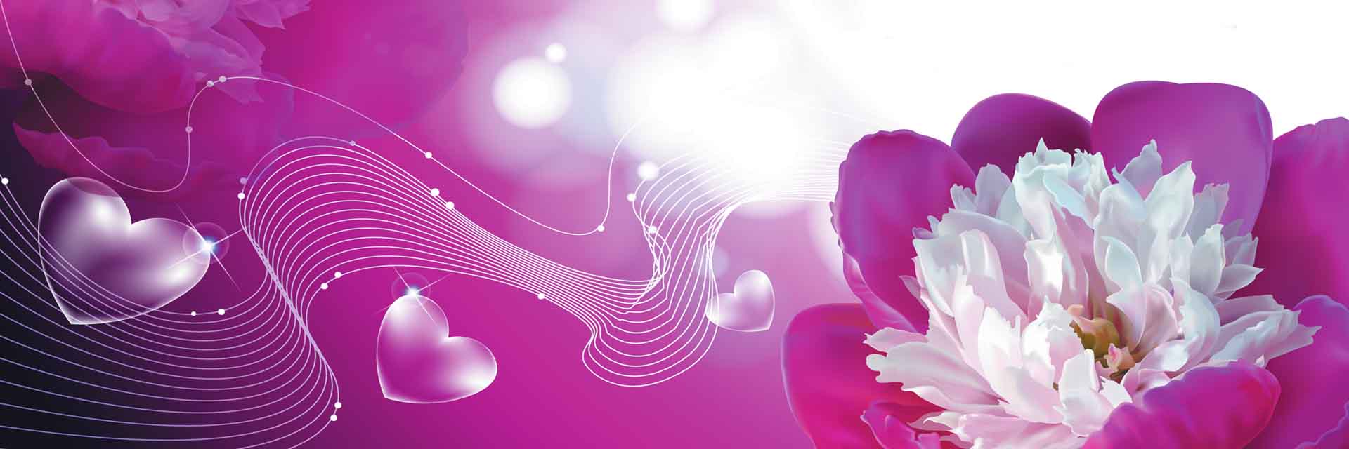 VIPcorel.com_11655a.jpg