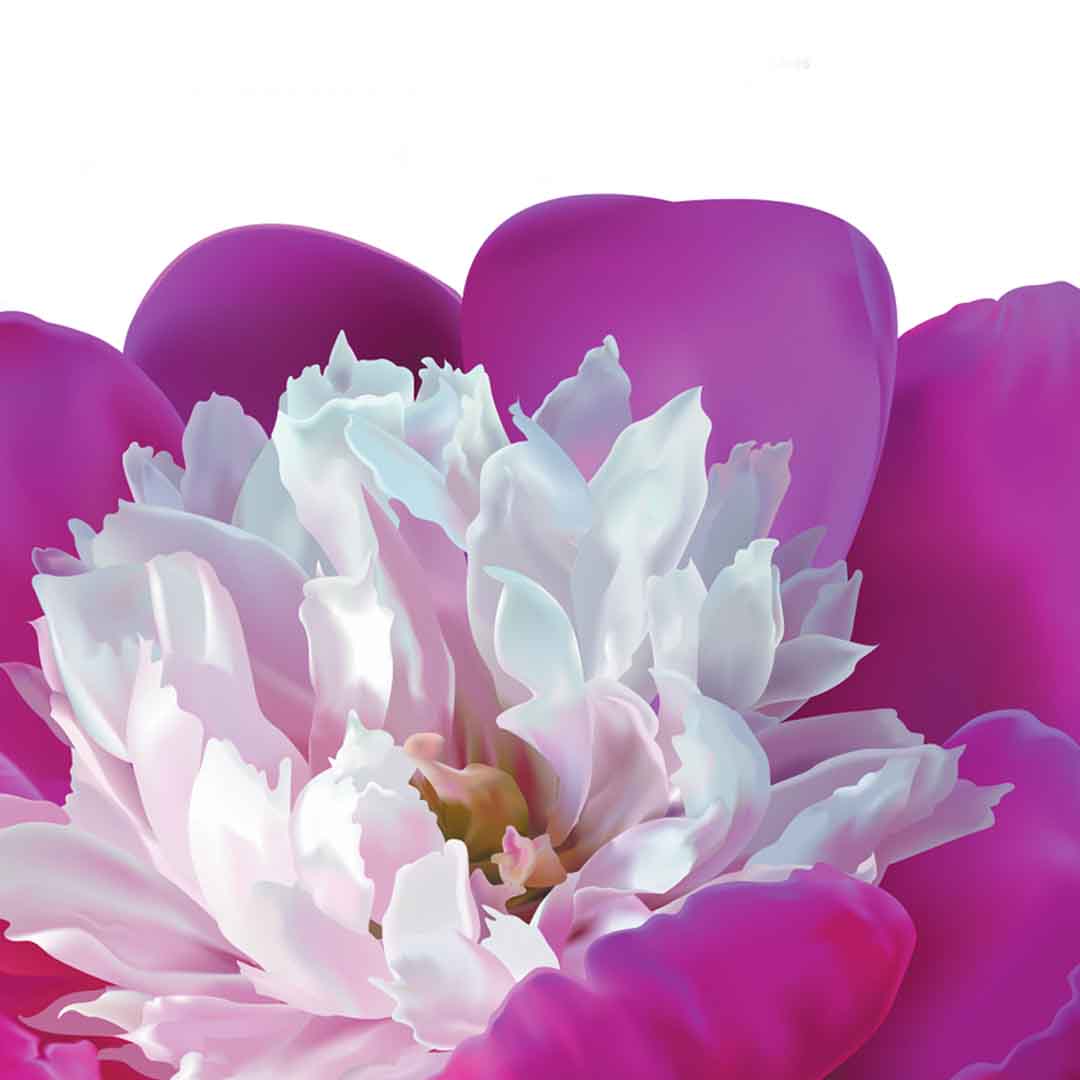 VIPcorel.com_11655d.jpg
