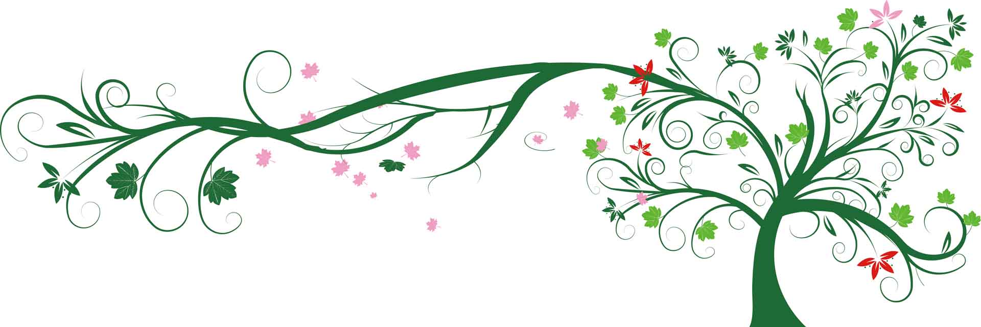 VIPcorel.com_11656a.jpg