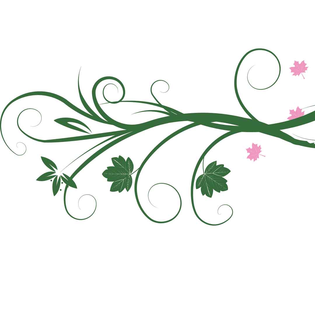 VIPcorel.com_11656b.jpg