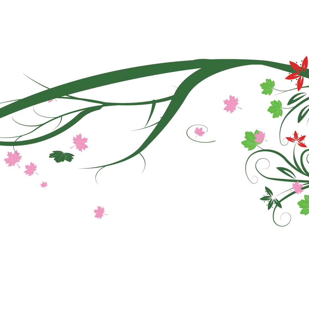 VIPcorel.com_11656c.jpg