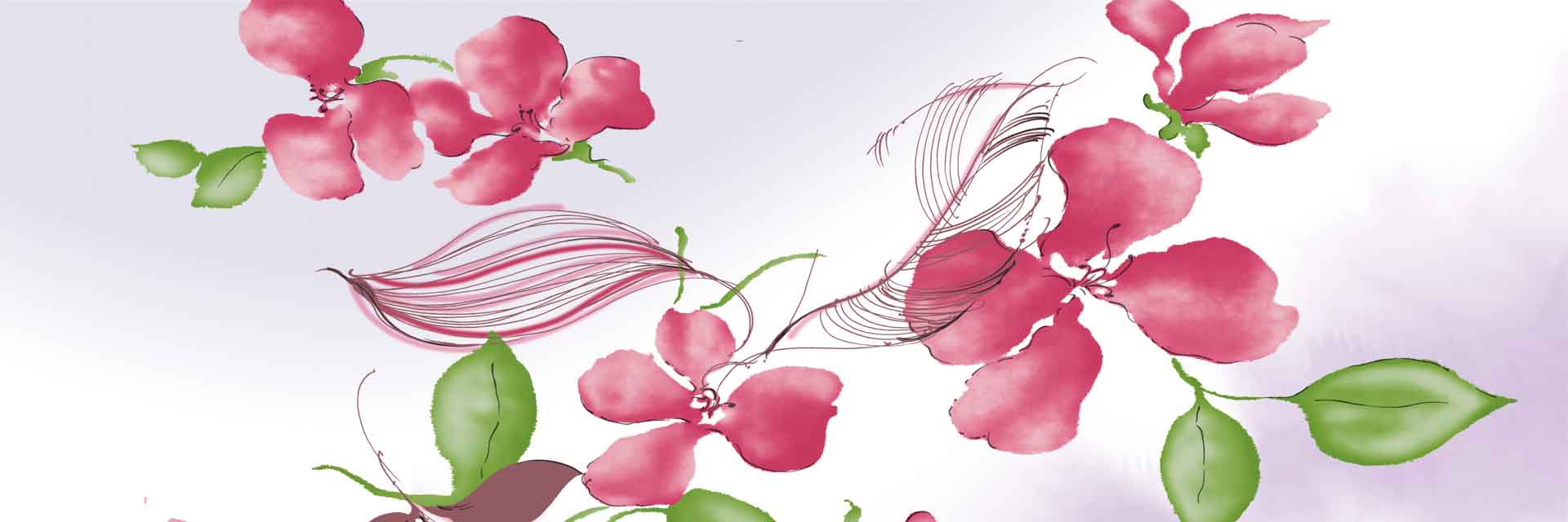 VIPcorel.com_11660a.jpg