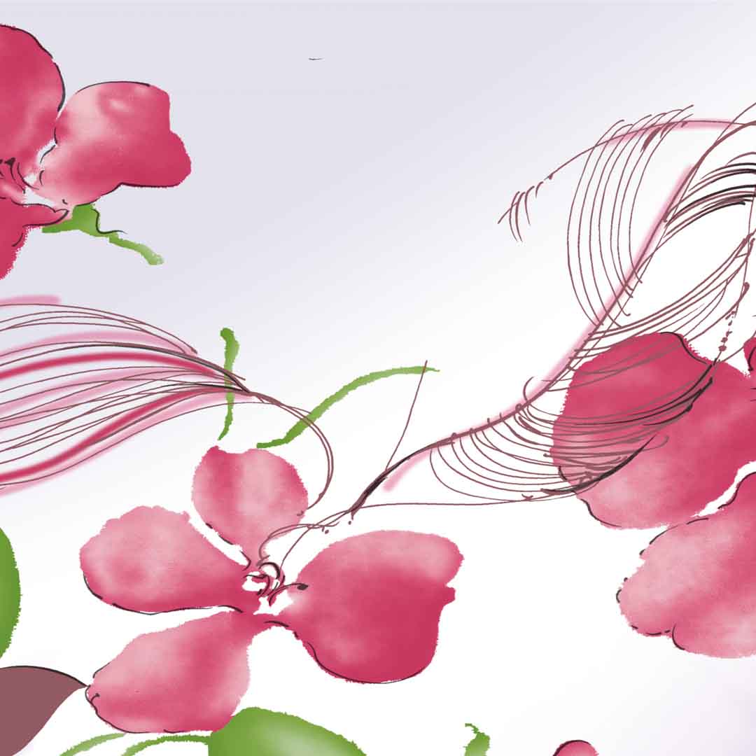 VIPcorel.com_11660c.jpg