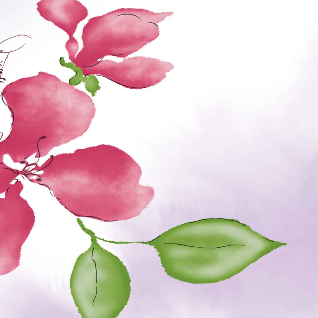 VIPcorel.com_11660d.jpg
