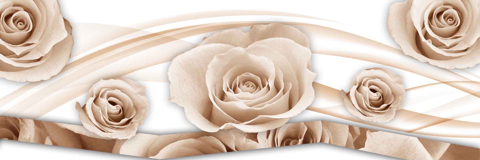 VIPcorel.com_11666a.jpg