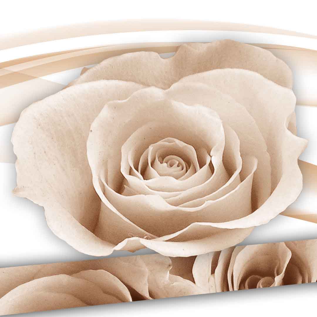 VIPcorel.com_11666c.jpg