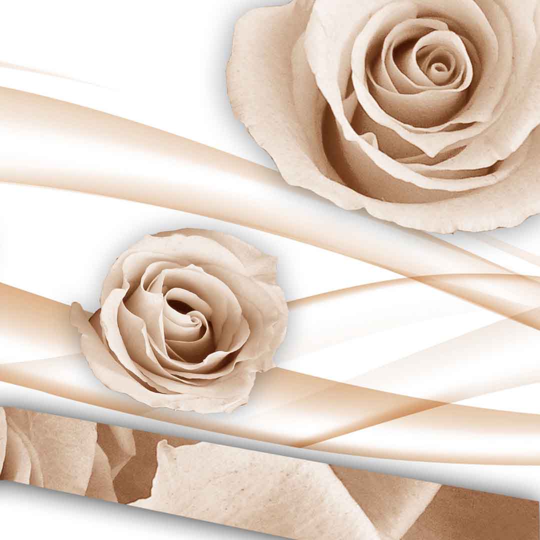 VIPcorel.com_11666d.jpg