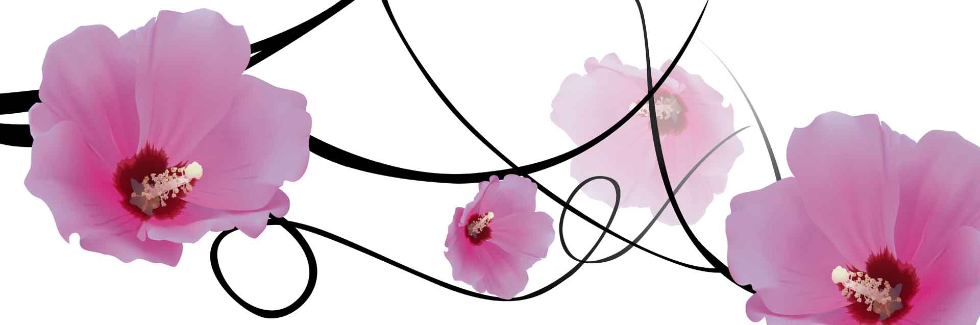 VIPcorel.com_11671a.jpg