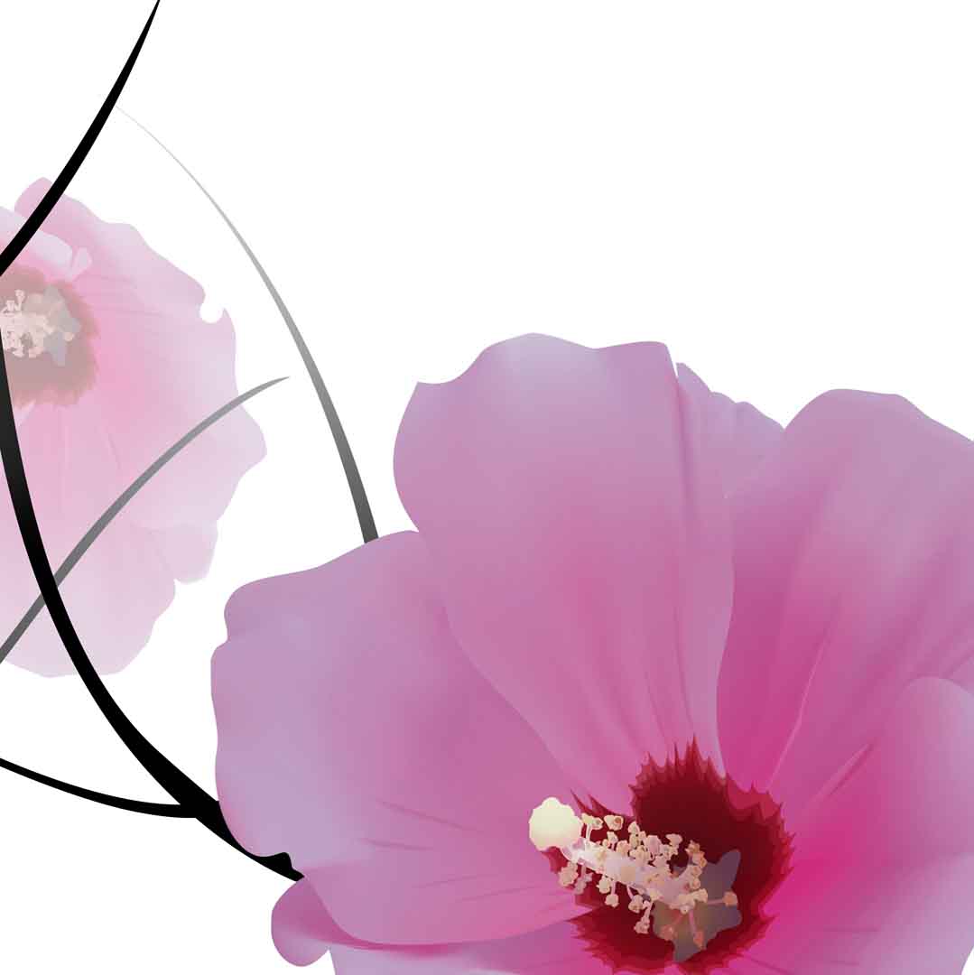 VIPcorel.com_11671d.jpg