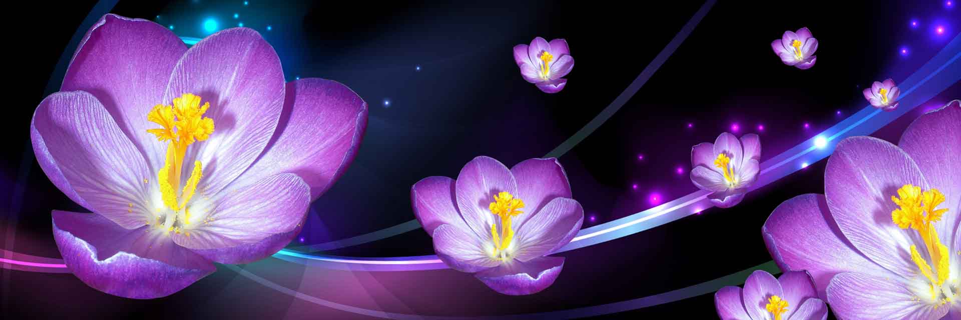 VIPcorel.com_11672a.jpg
