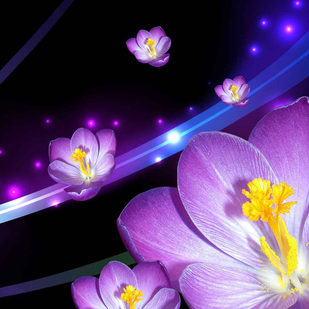VIPcorel.com_11672d.jpg