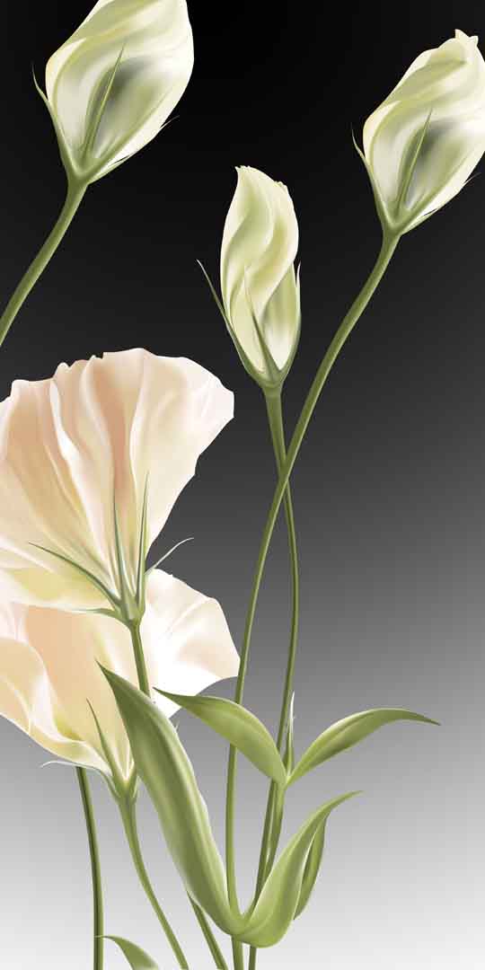 VIPcorel.com_11673a.jpg