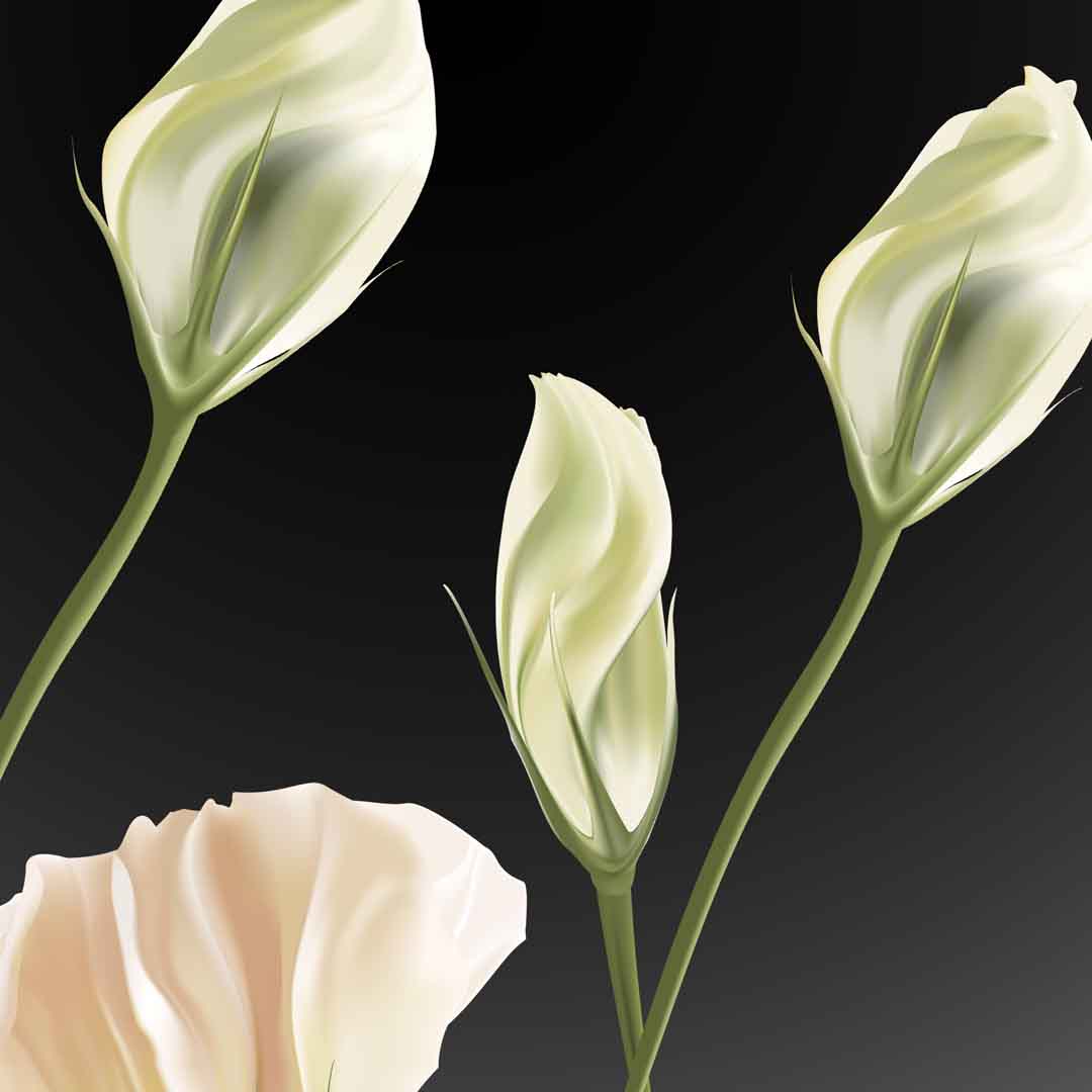 VIPcorel.com_11673b.jpg