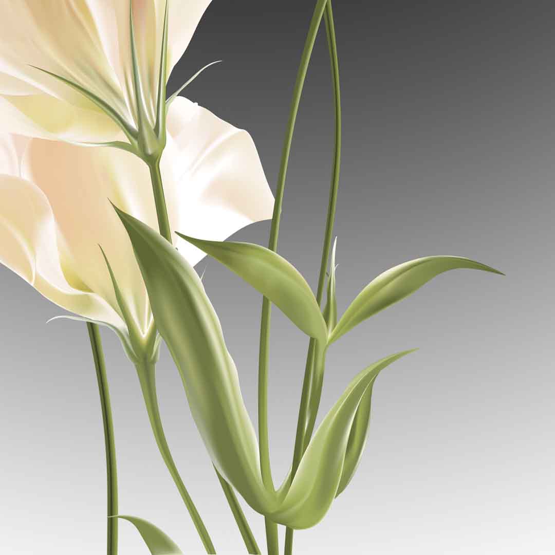 VIPcorel.com_11673c.jpg