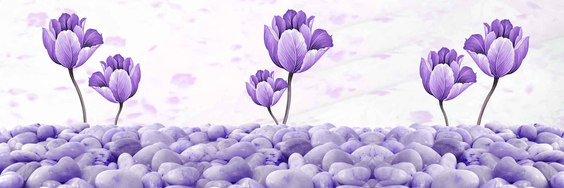 VIPcorel.com_11679a.jpg