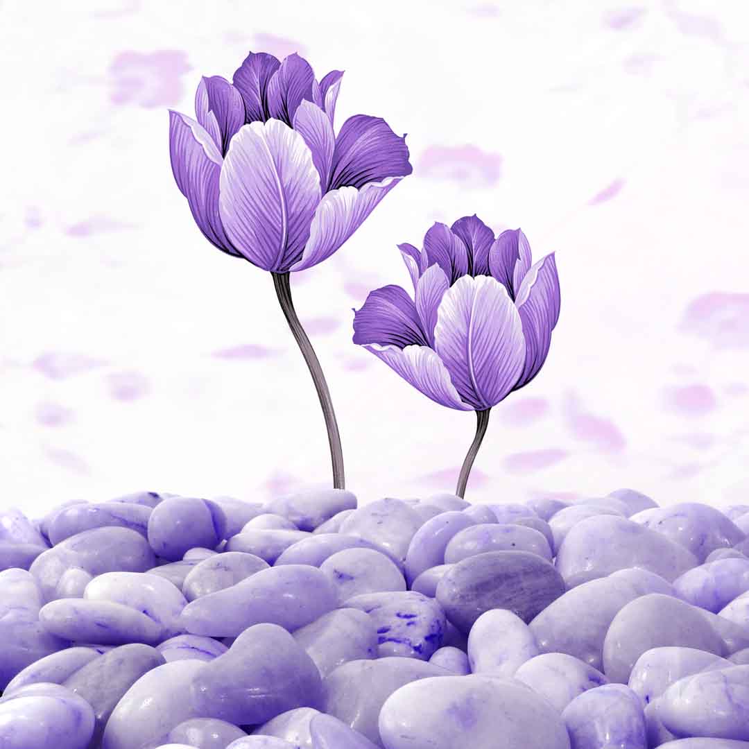 VIPcorel.com_11679b.jpg