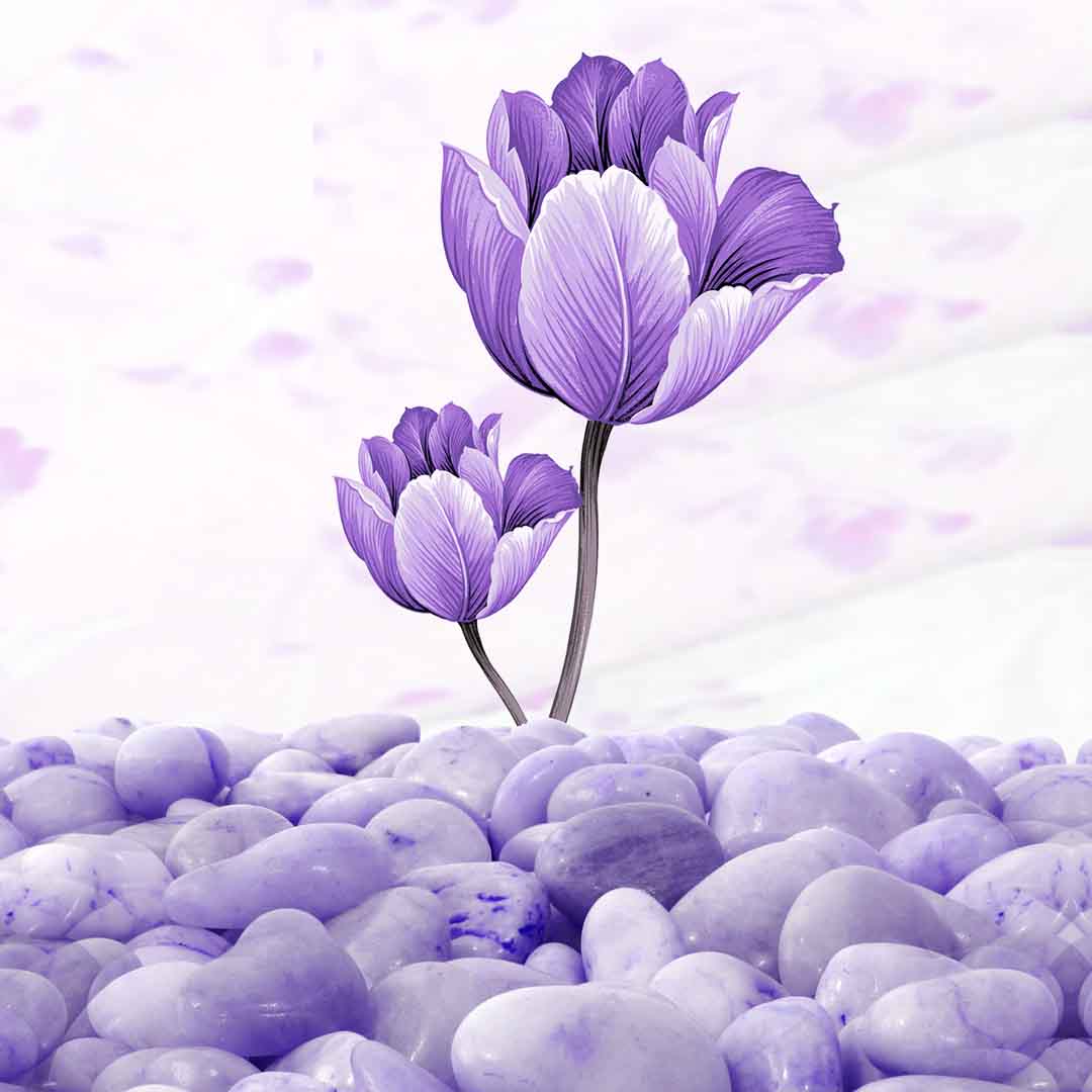 VIPcorel.com_11679c.jpg