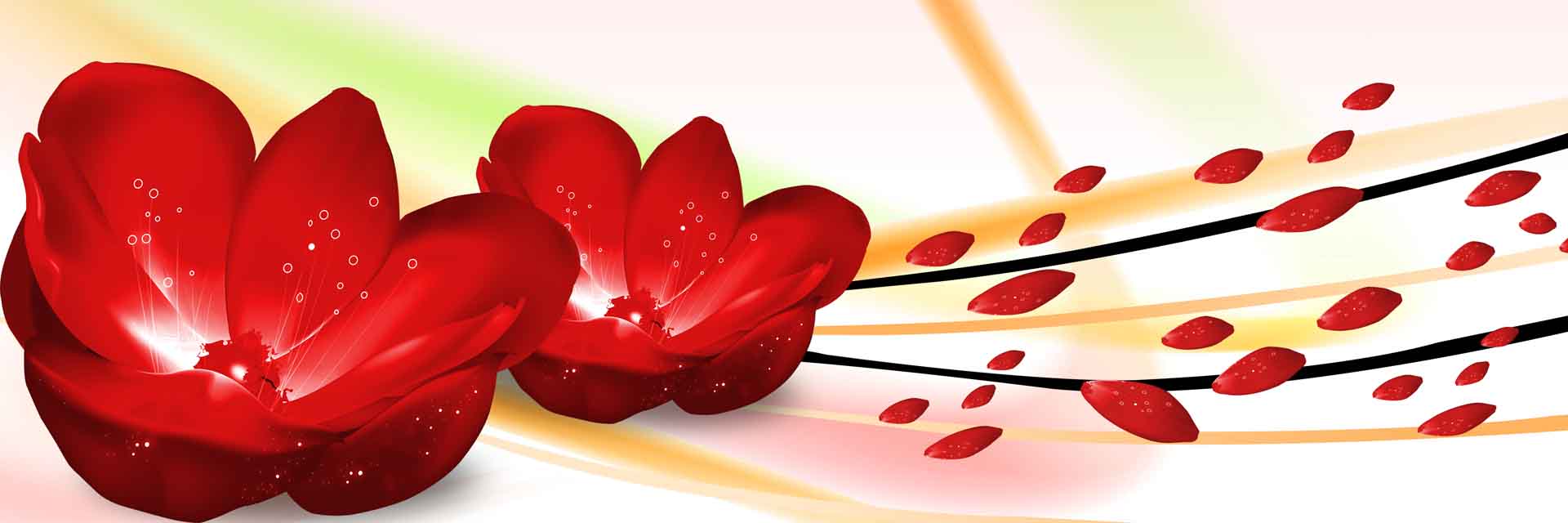 VIPcorel.com_11680a.jpg