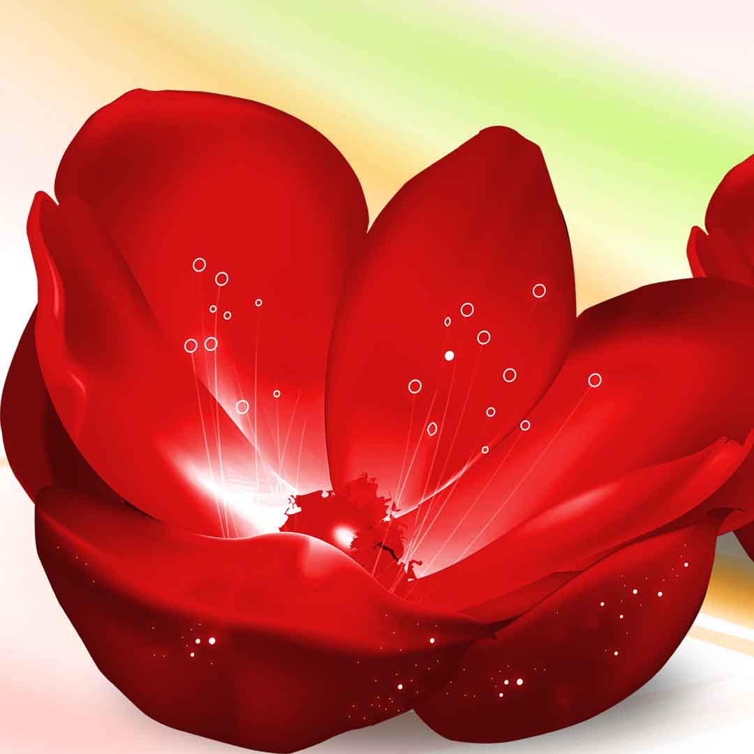 VIPcorel.com_11680b.jpg