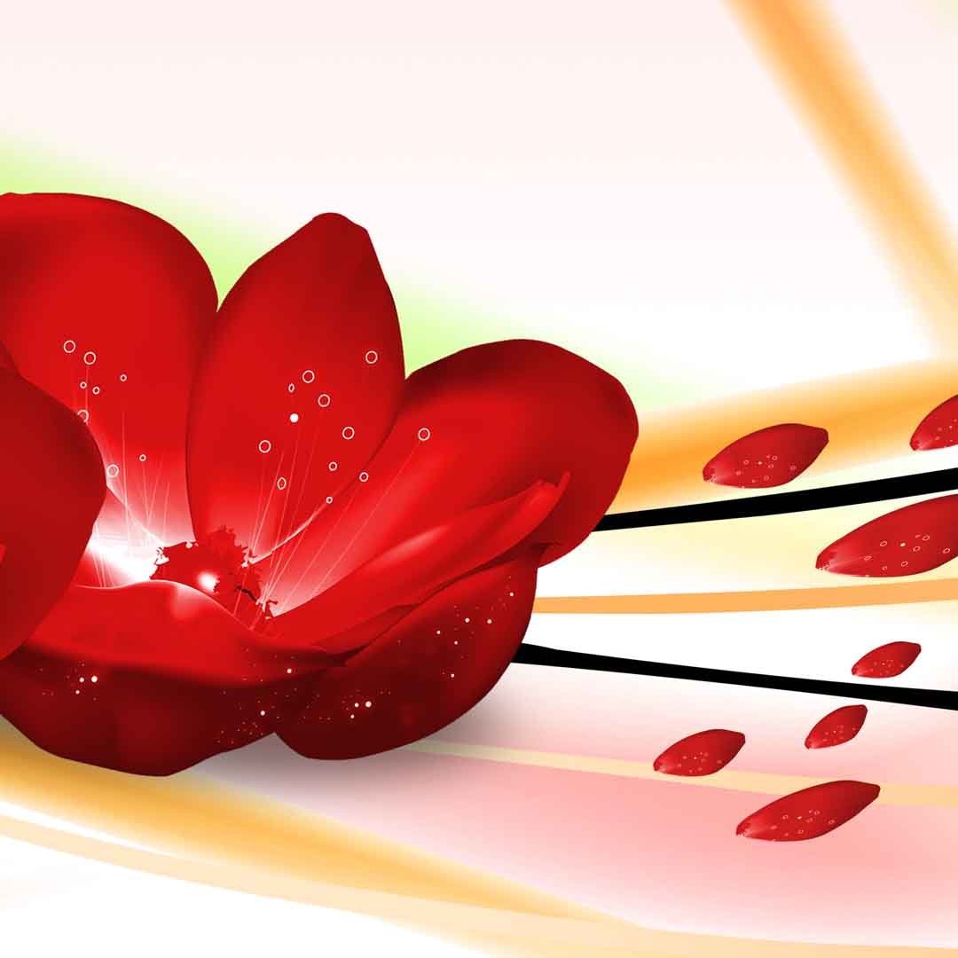 VIPcorel.com_11680c.jpg