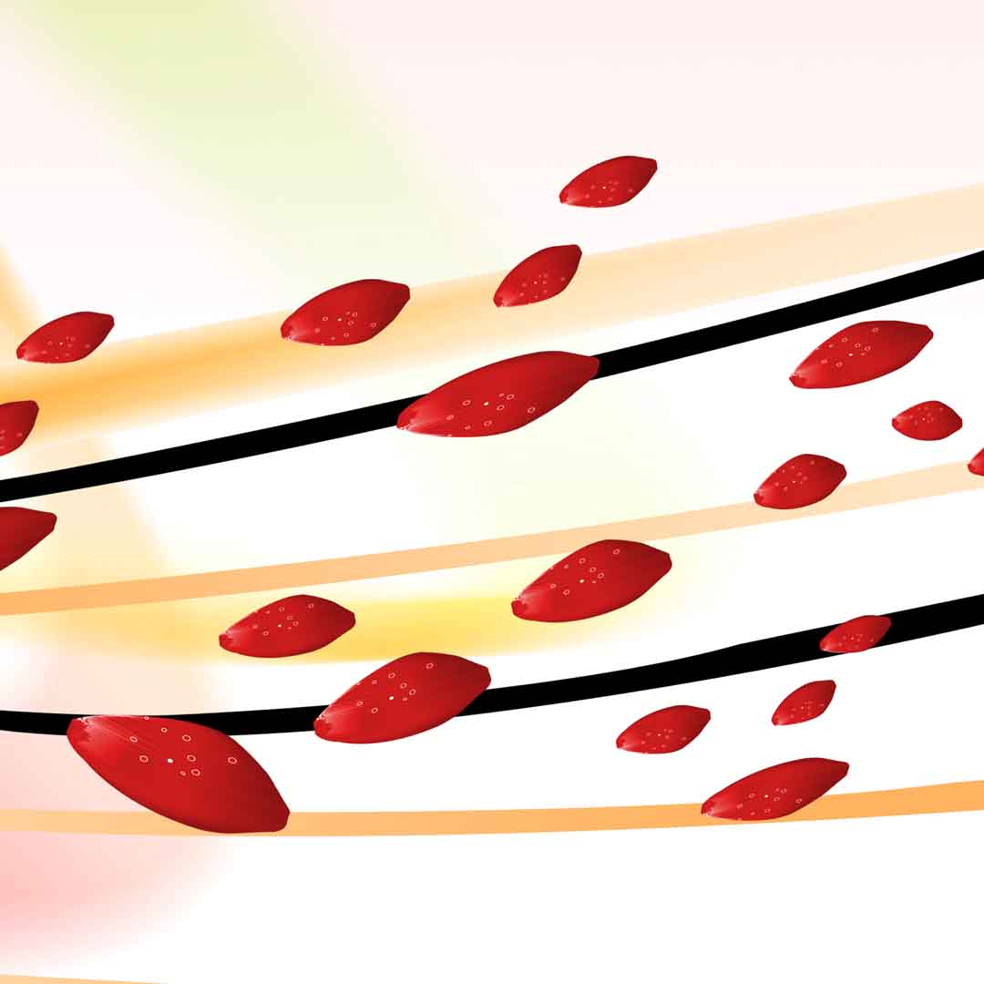 VIPcorel.com_11680d.jpg