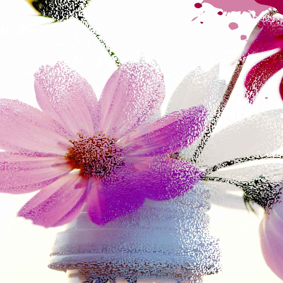 VIPcorel.com_11681b.jpg
