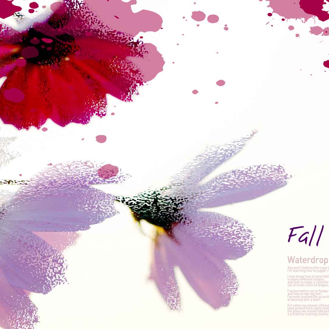 VIPcorel.com_11681c.jpg