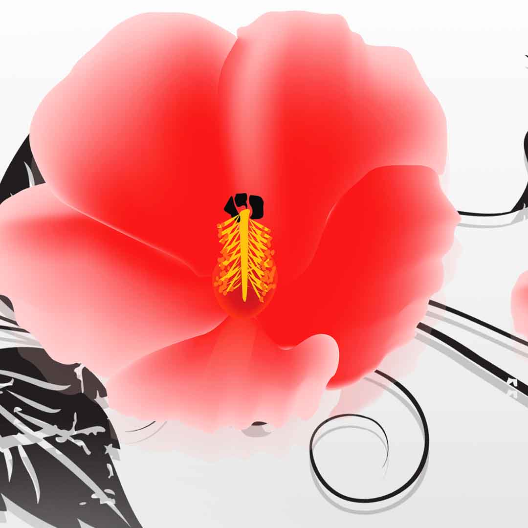 VIPcorel.com_11682c.jpg