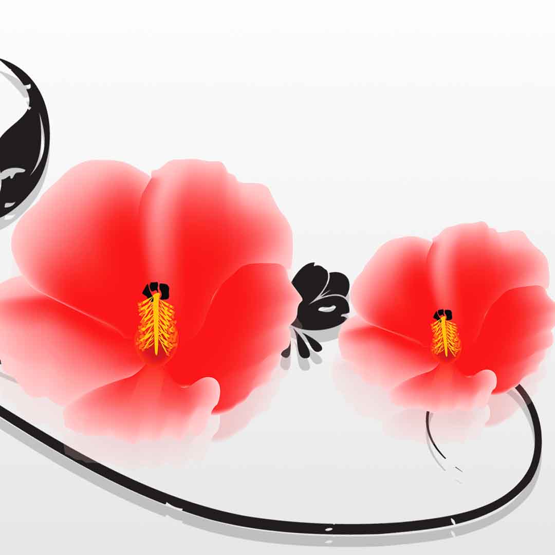 VIPcorel.com_11682d.jpg