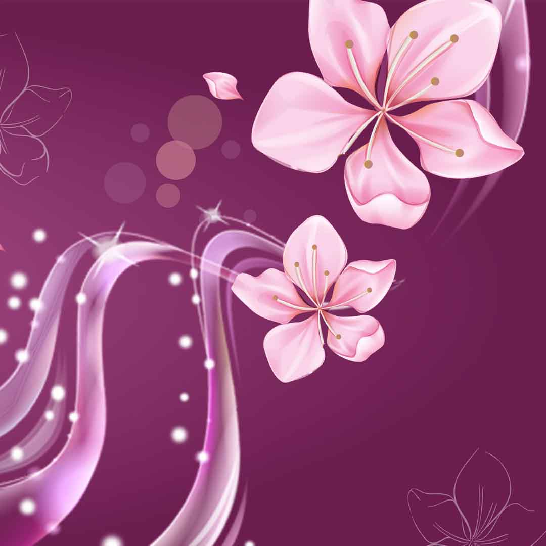 VIPcorel.com_11683d.jpg