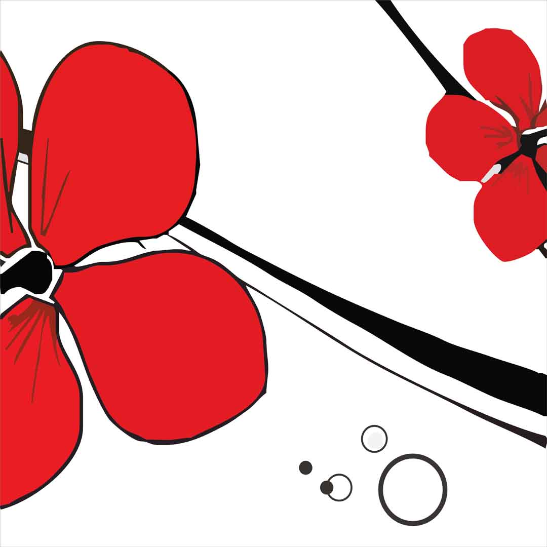 VIPcorel.com_11685b.jpg