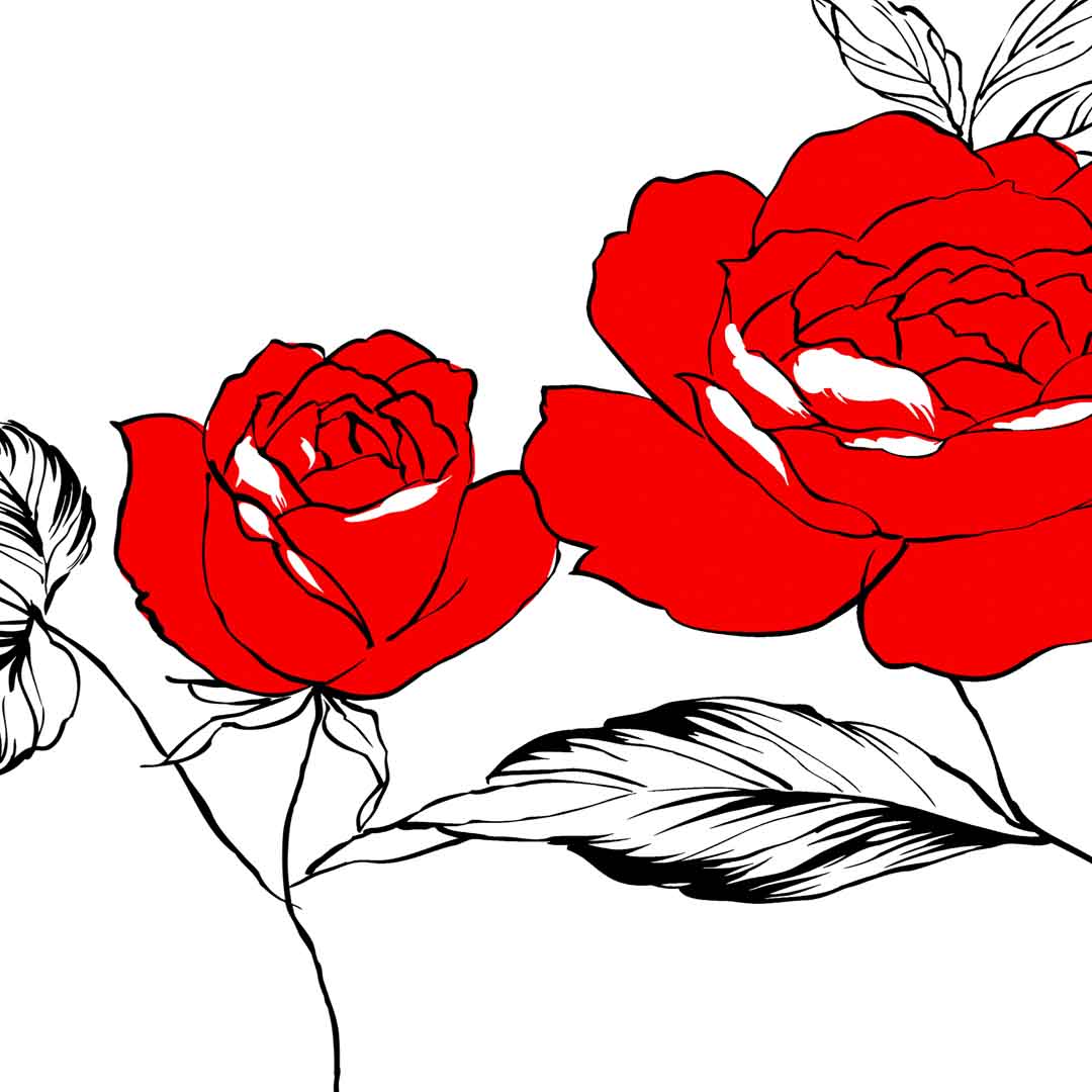 VIPcorel.com_11686b.jpg