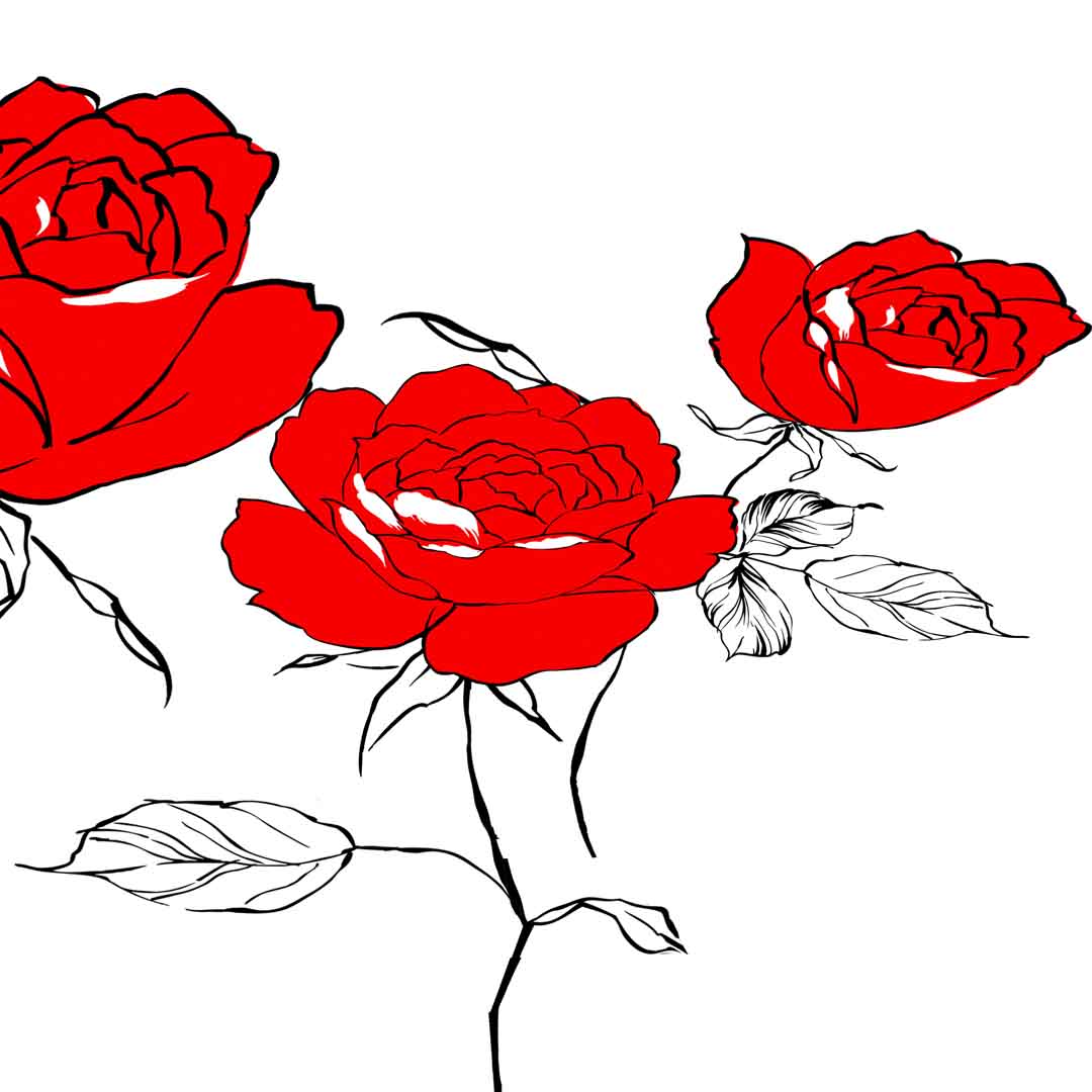 VIPcorel.com_11686d.jpg