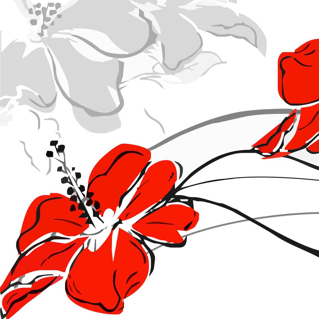 VIPcorel.com_11688a.jpg
