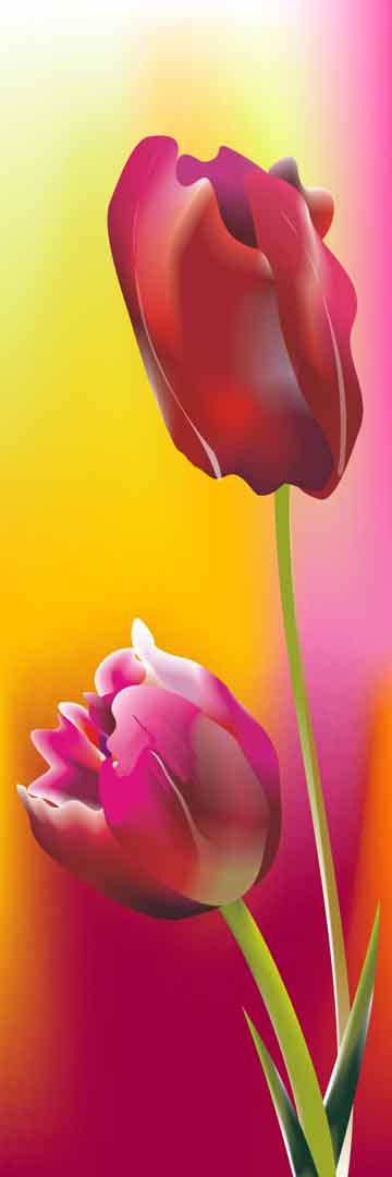 VIPcorel.com_11689a.jpg