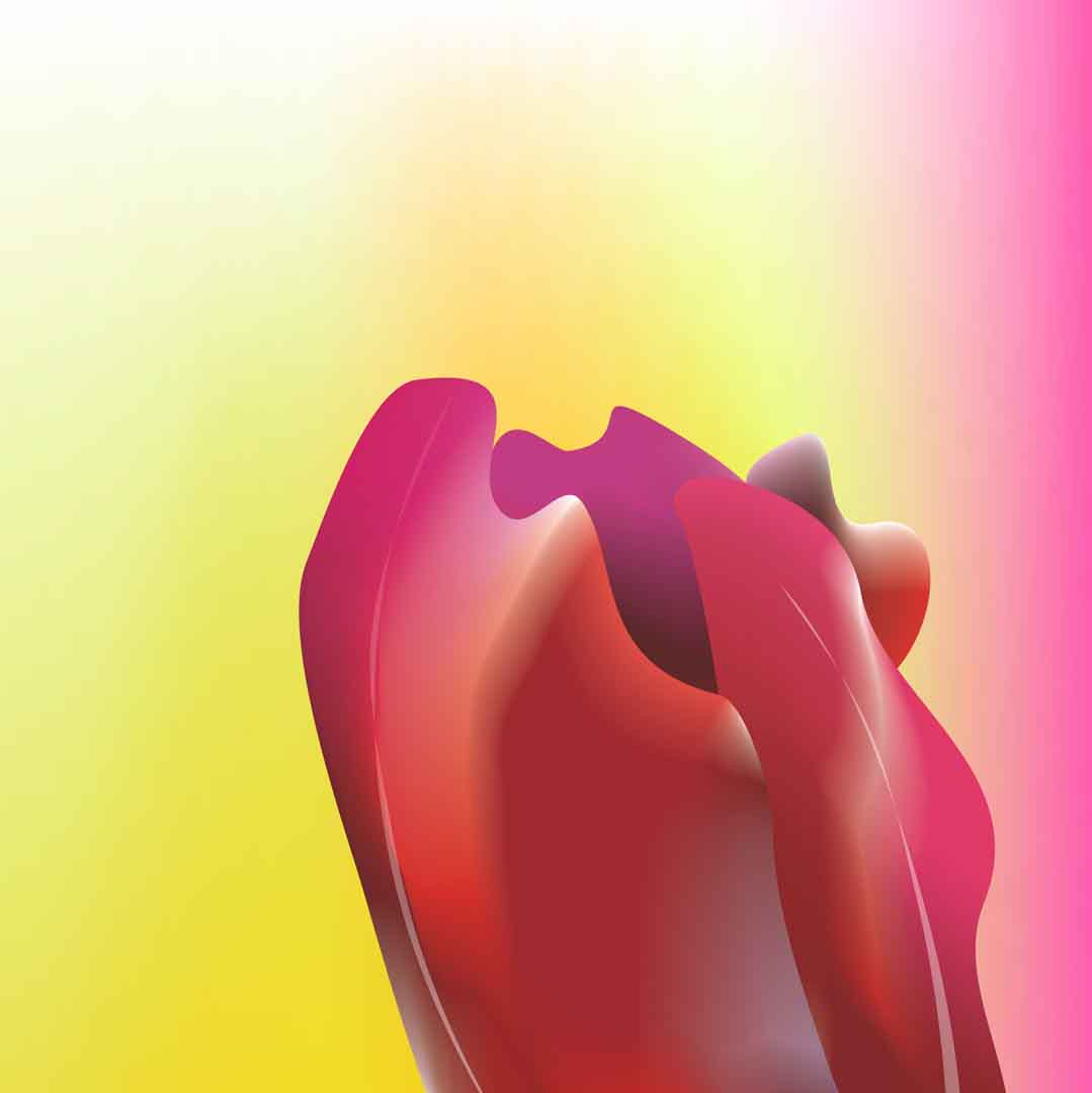 VIPcorel.com_11689b.jpg